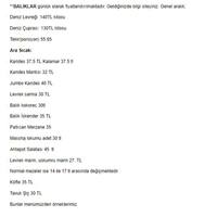 Massha Sile Balikcisi Sile Merkez Istanbul