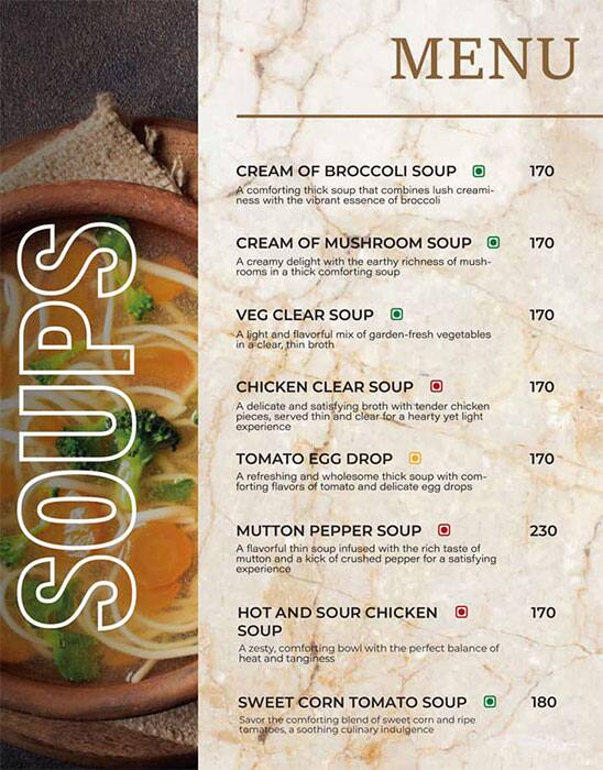 menu-of-n-chef-restaurant-brigade-road-bangalore