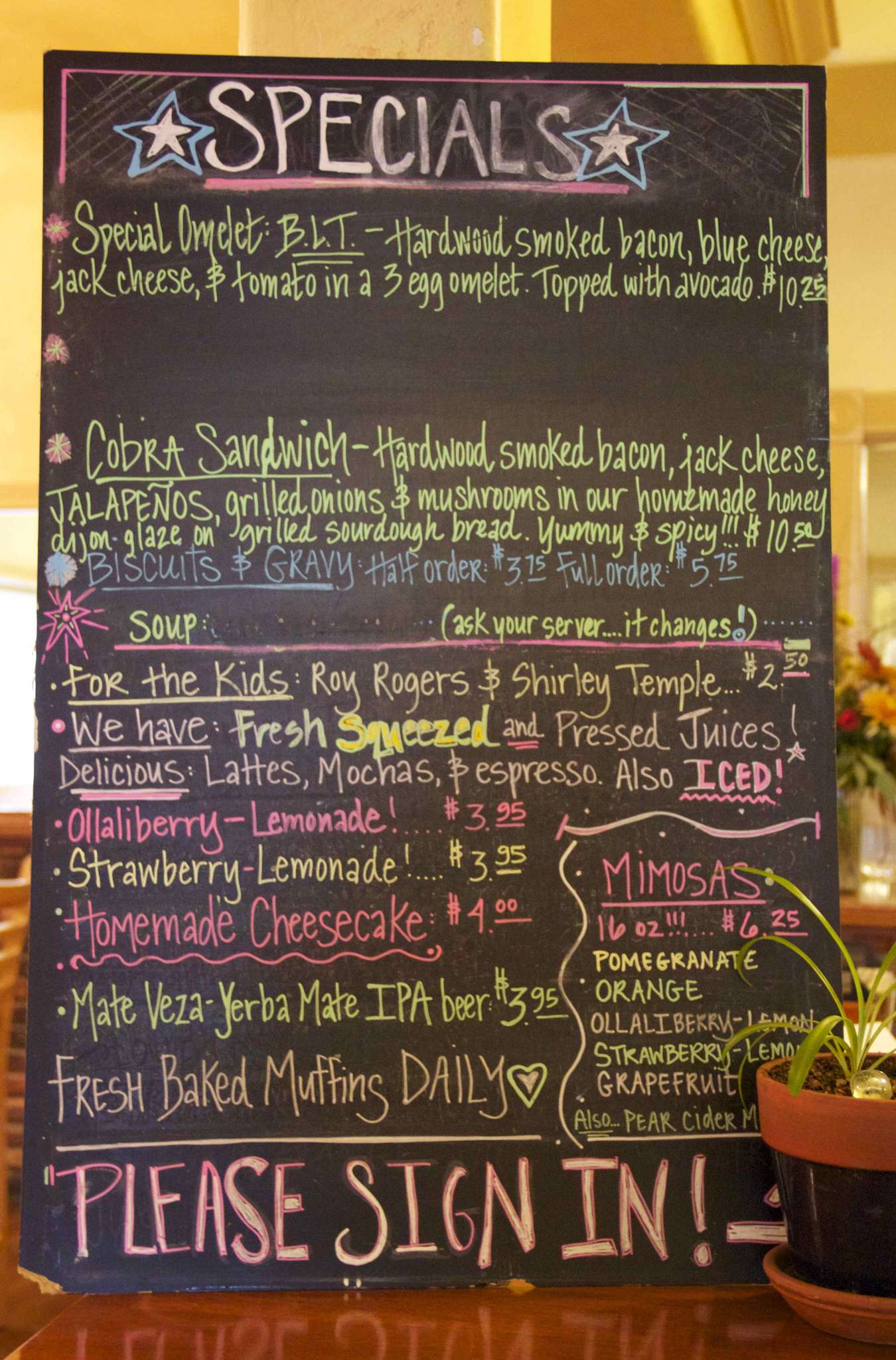 Menu at South Pine Cafe, Grass Valley