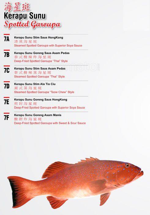 Feyloon menu