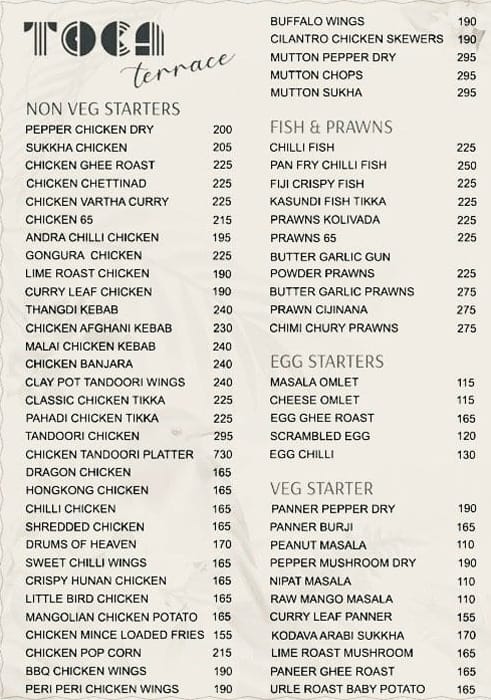 Menu of Toca Terrace, Brigade Road, Bangalore