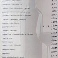 poyraz balik restaurant idealtepe istanbul