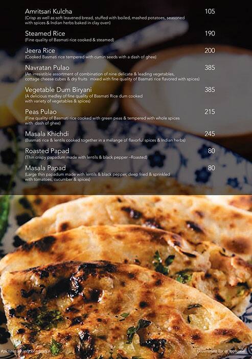 Vega Pure Vegetarian - Hotel Alka Classic menu