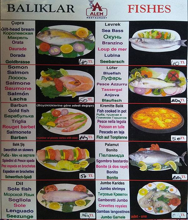 Alem Restaurant menu