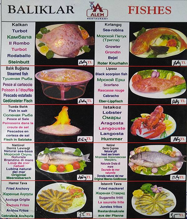 Alem Restaurant menu
