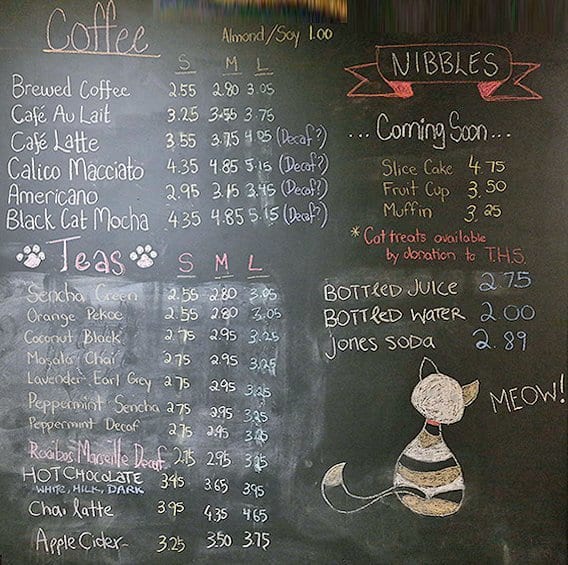 TOT the Cat Cafe Menu  Menu  for TOT the Cat  Cafe  Harbord 