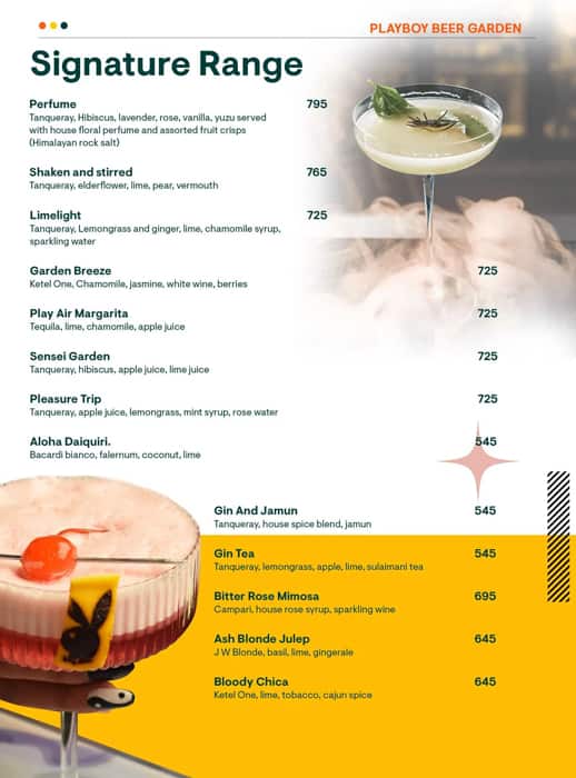 Menu of Playboy Beer Garden, Sector 45, Gurgaon