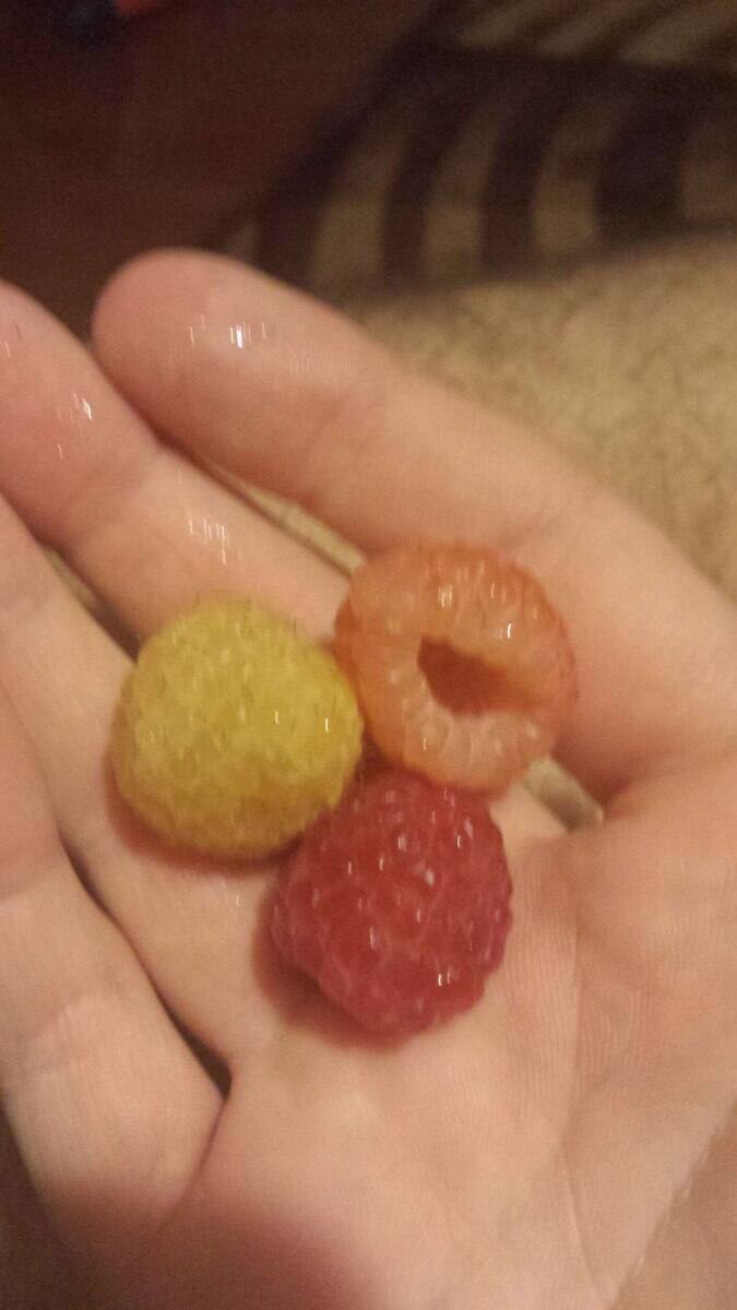 Wegmans Dulles, Sterling, Loudoun County Urbanspoon/Zomato