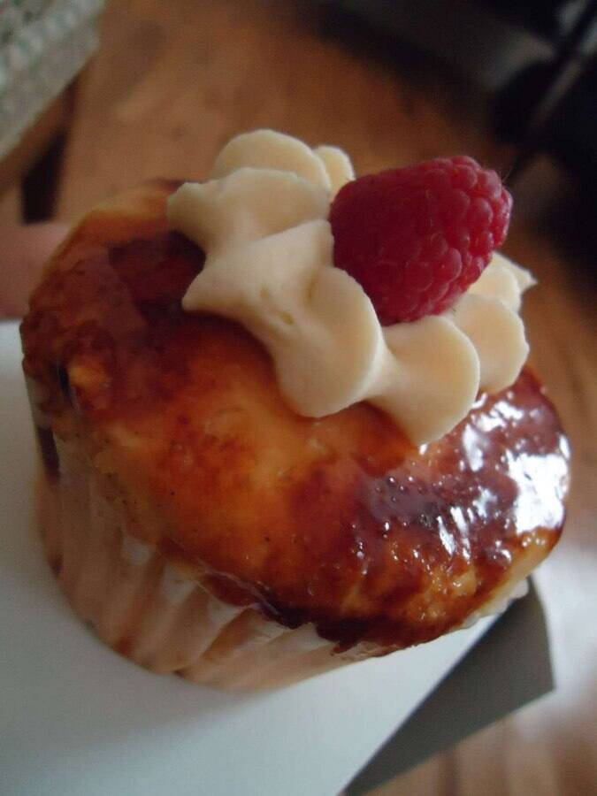 Sivadas Cupcakery Avondale Jacksonville Sivadas Cupcakery Avondale Jacksonville