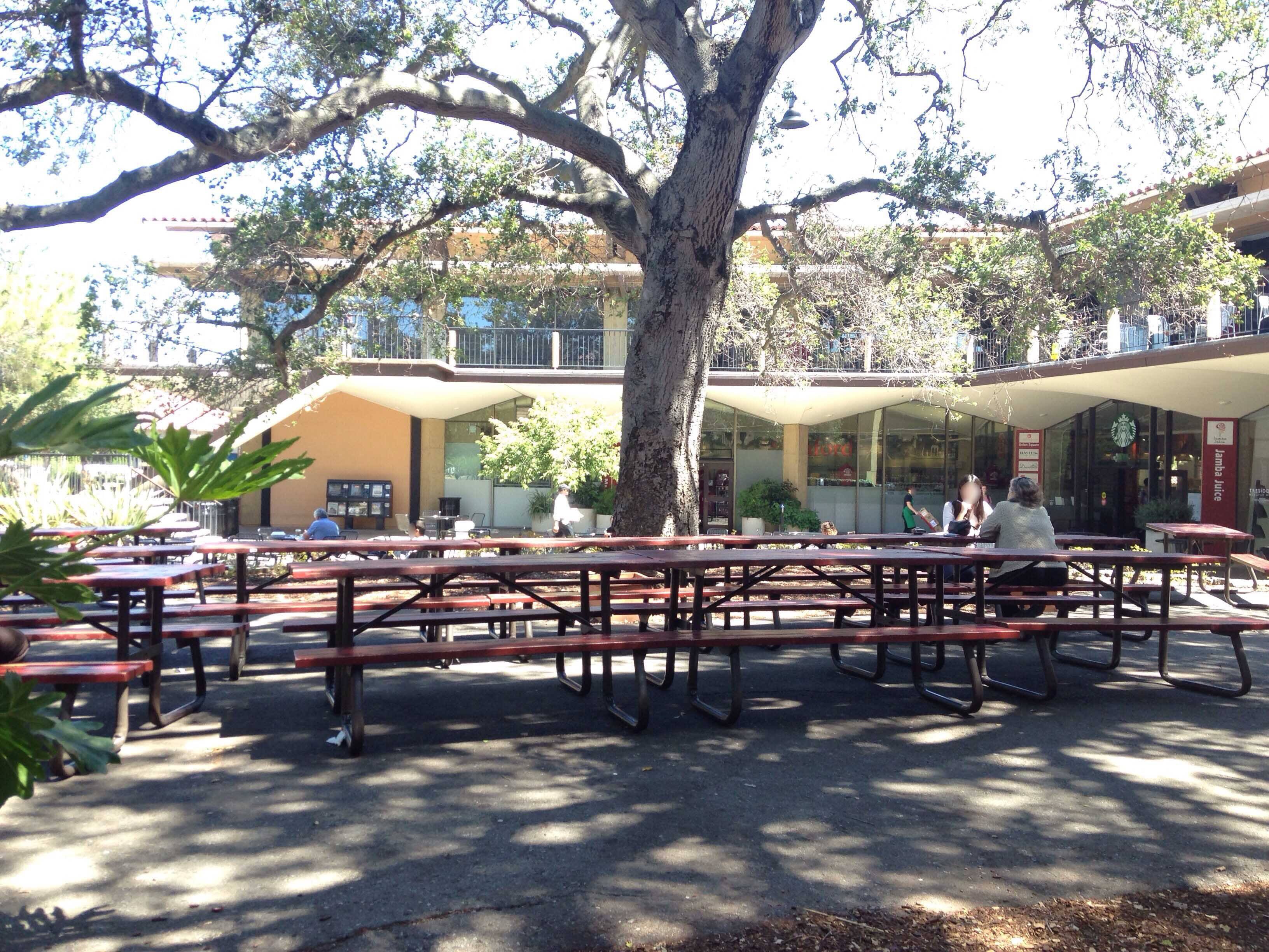 Treehouse, Stanford, Palo Alto Zomato
