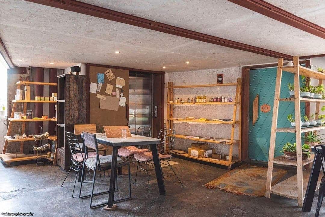pet friendly places, pet friendly cafes, pet friendly dining, dog friendly restaurants, dog friendly cafes - Greenr Cafe - img5