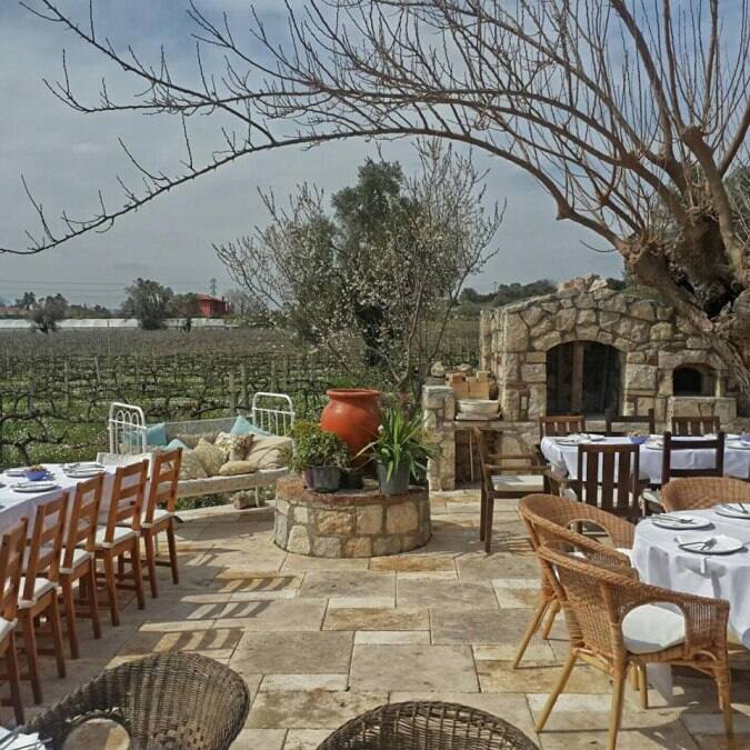 The Urlice Vineyard Cafe, Urla, Izmir Zomato Türkiye