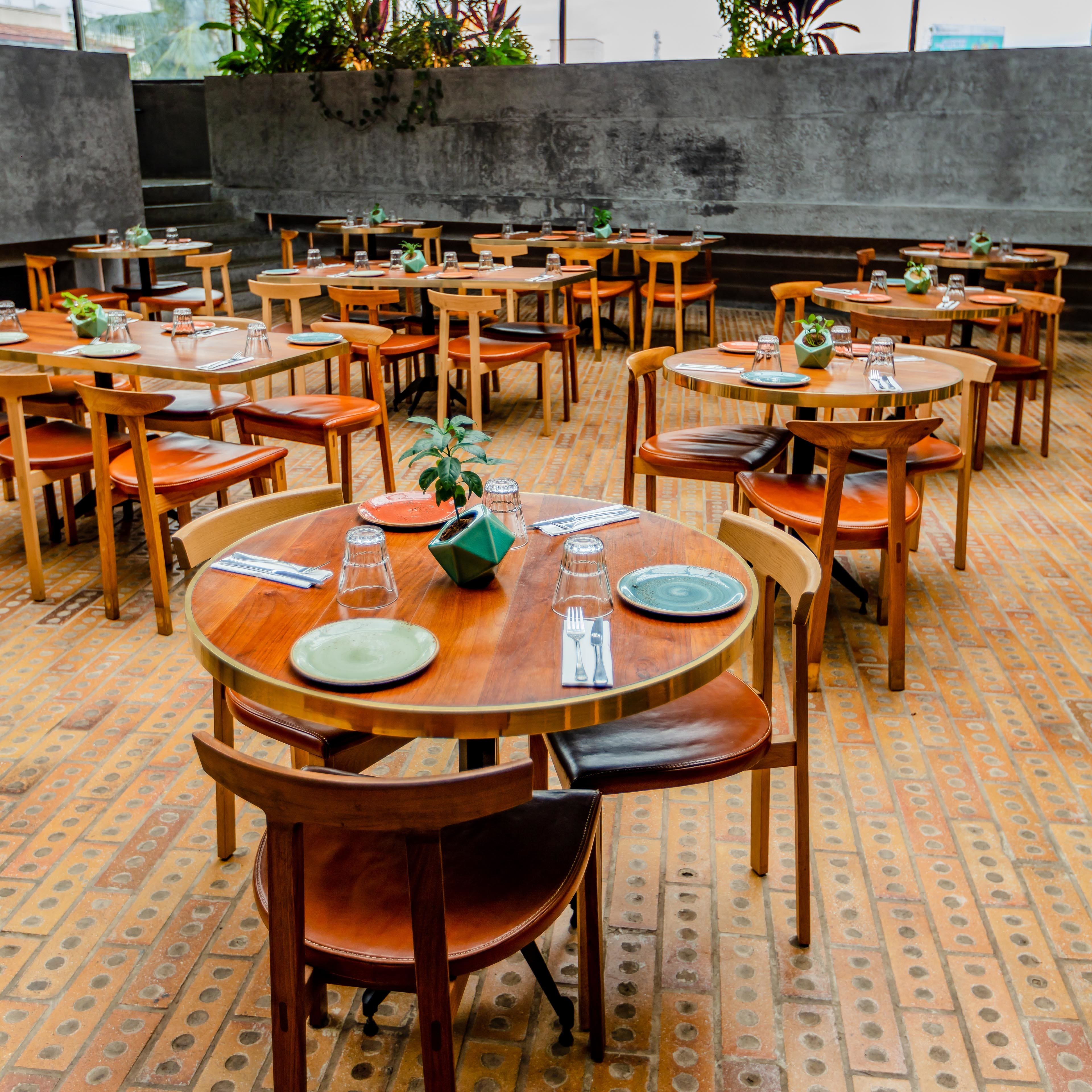 rooftop bars, rooftop bars near me, rooftop pubs, rooftop lounges, best rooftop bars, rooftop bar near me, sky bar, rooftop dining near me - The Druid Garden - img5