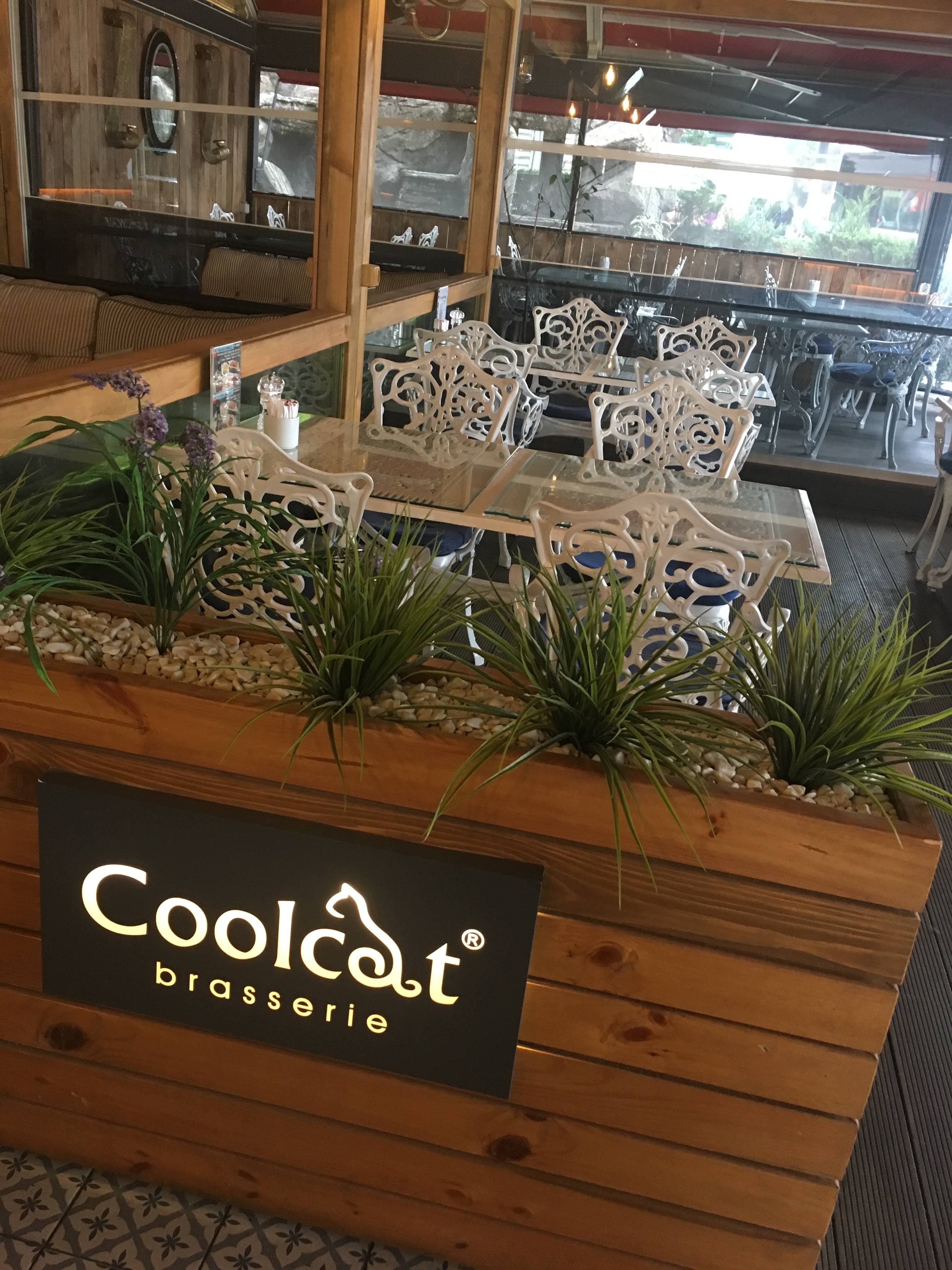 Coolcat Brasserie Altunizade Istanbul Zomato