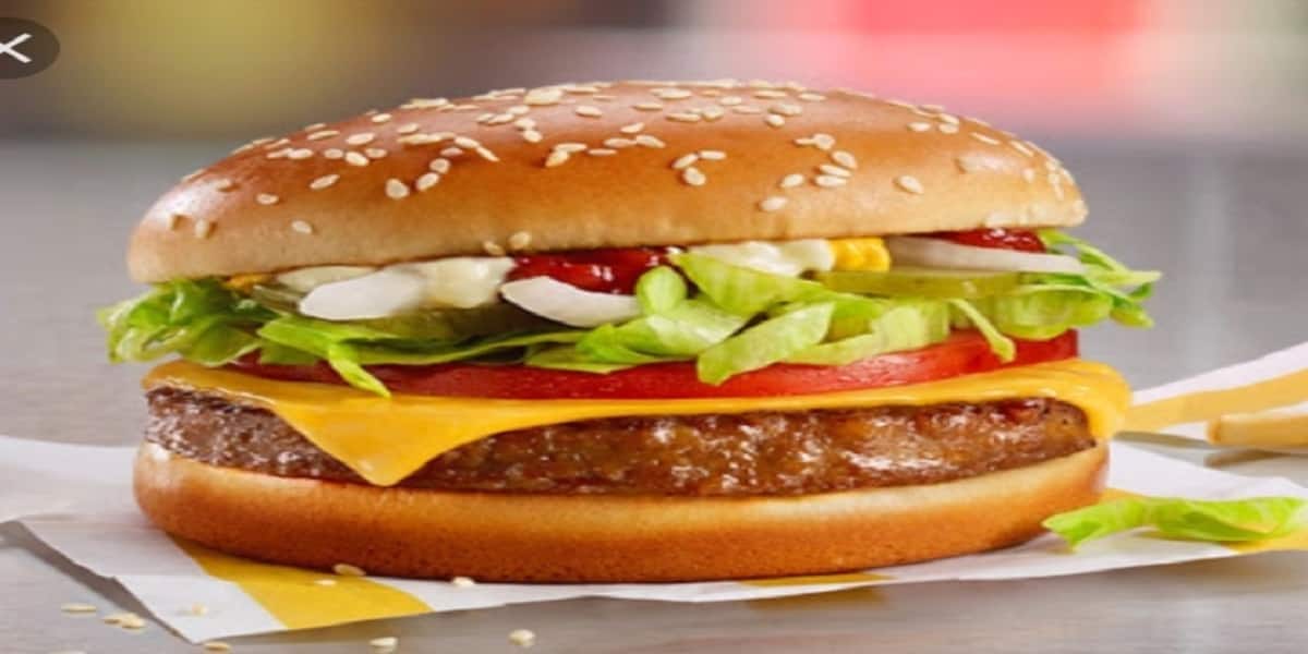 late night food, late night restaurants, midnight snacks, quick bites, fast food, street food, chaat, pani puri, pav bhaji, late night cafes - Burger Take Away - img1