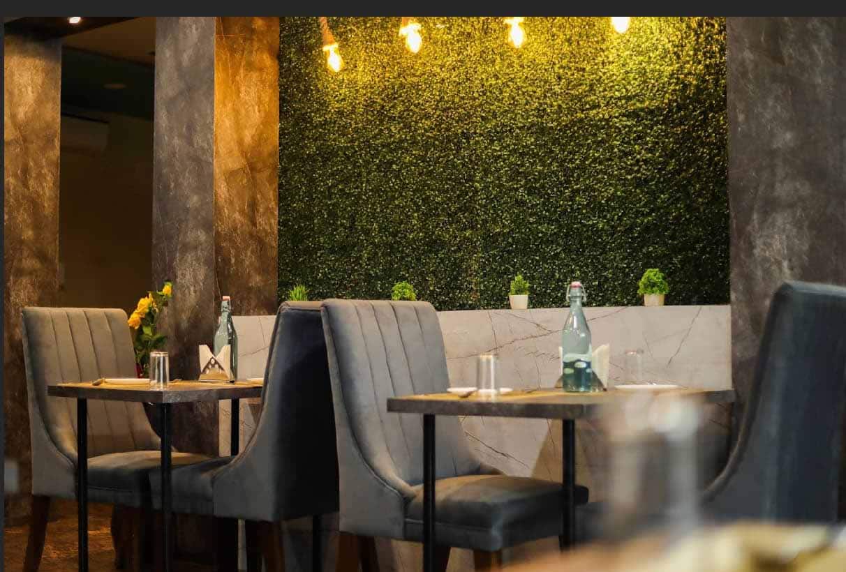 Salt & Pepper Restaurant, Jhotwara, Jaipur Zomato