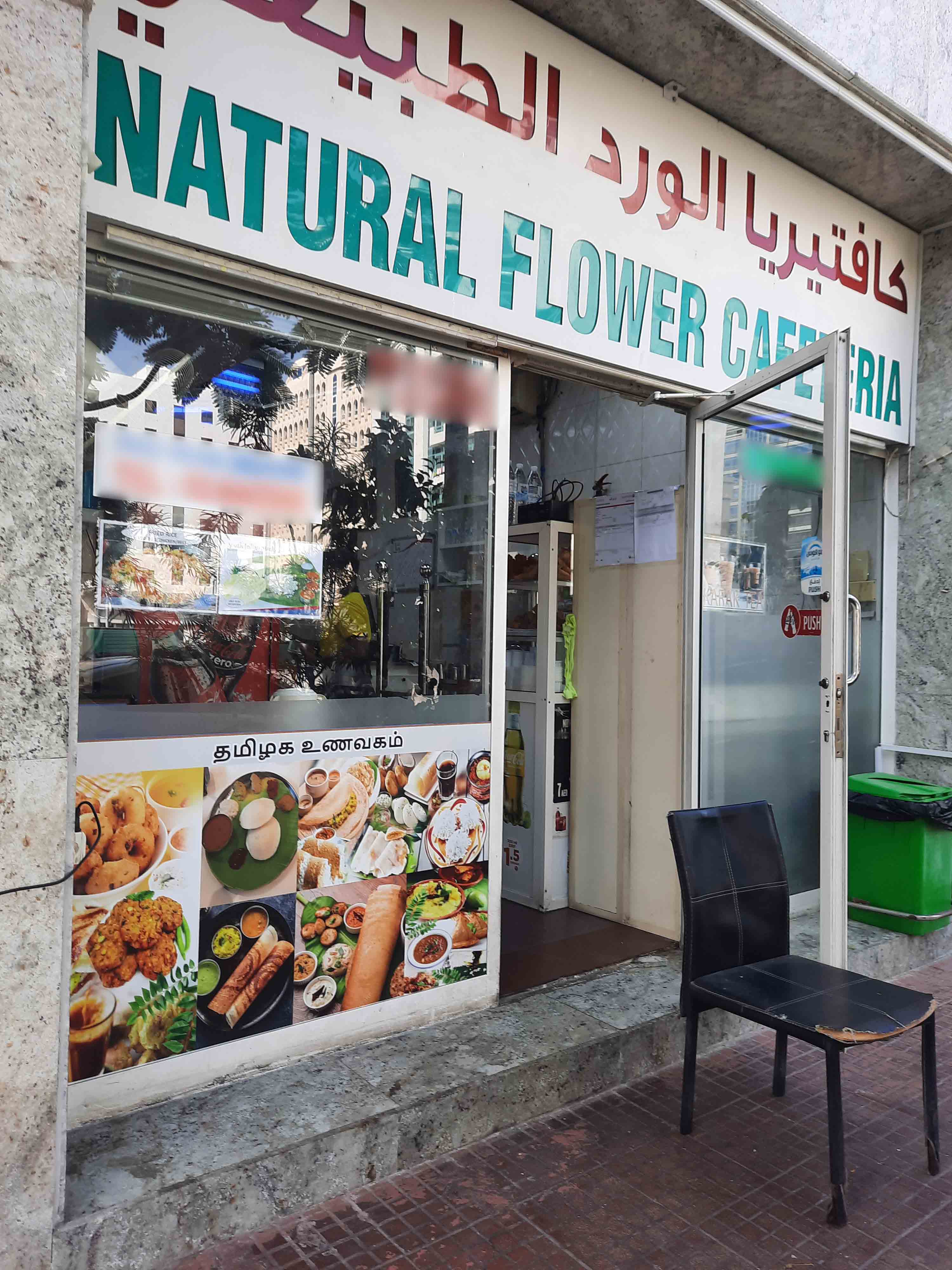 Lebanese Flower Tourist Club Area Abu Dhabi Best Flower Site