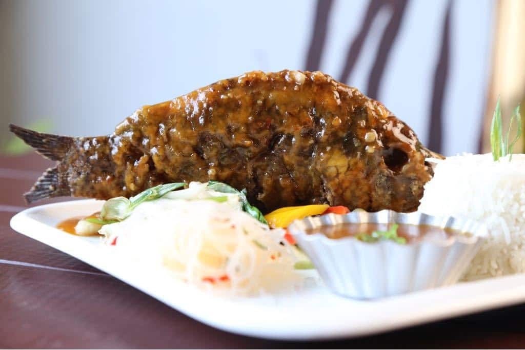 Deli Belly, Jasola, New Delhi Zomato