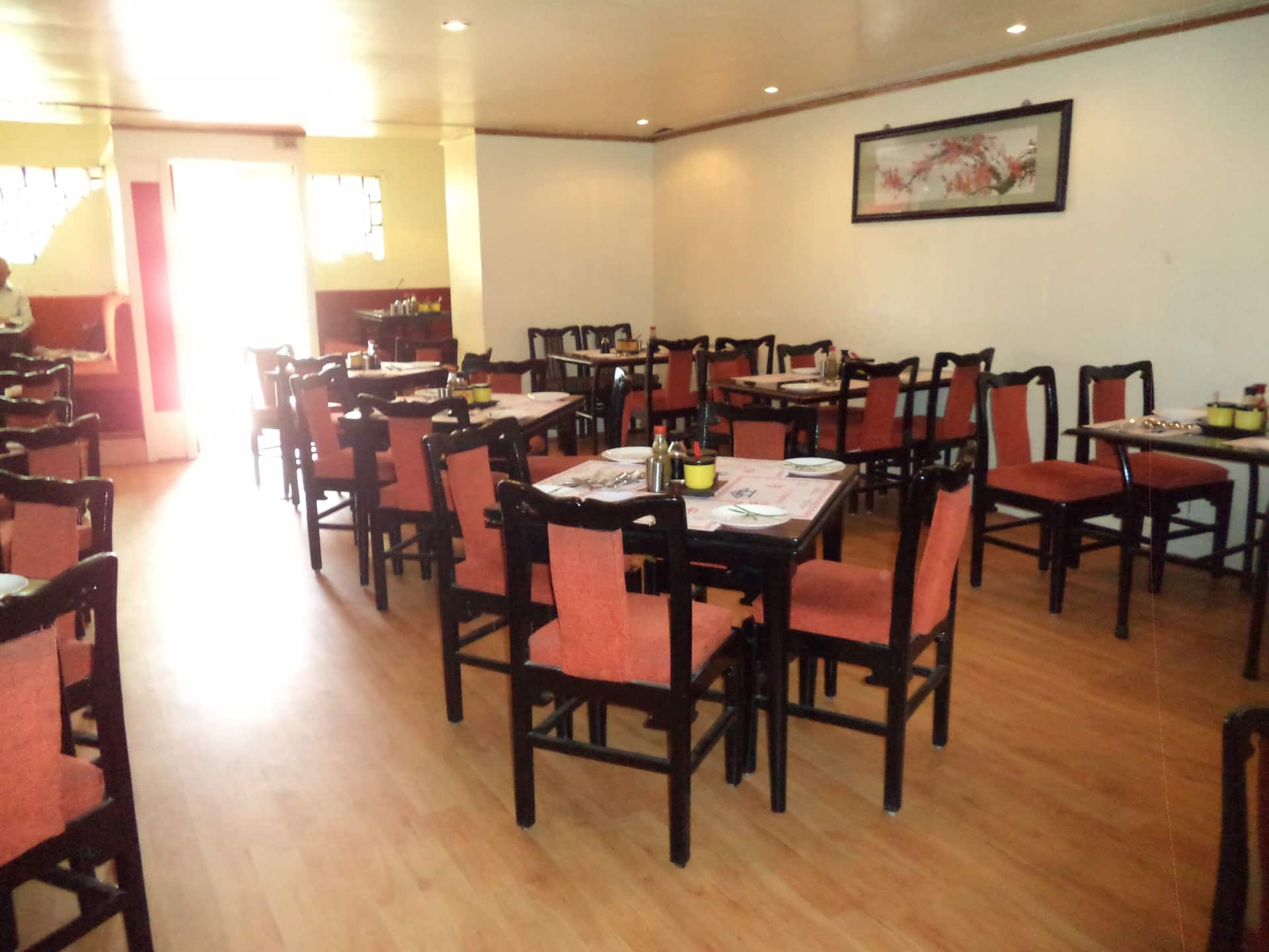 indo chinese food, Desi Chinese, hakka noodles, indo chinese cuisine, chilli chicken, manchurian - Nanking - img1