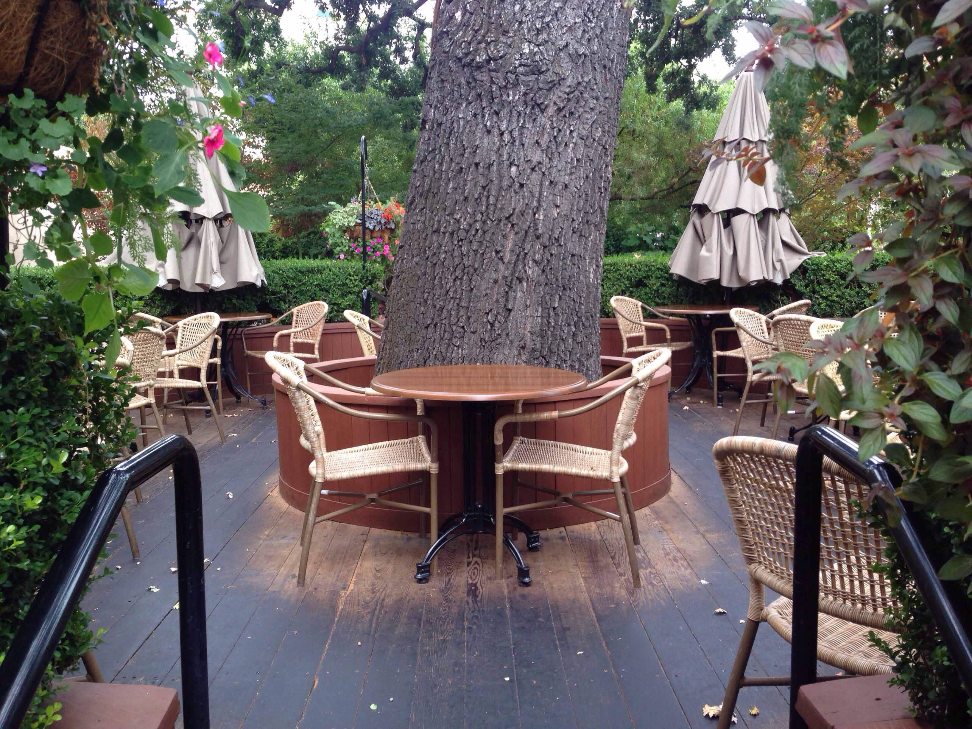 Menu of Va de Vi, Walnut Creek, Walnut Creek
