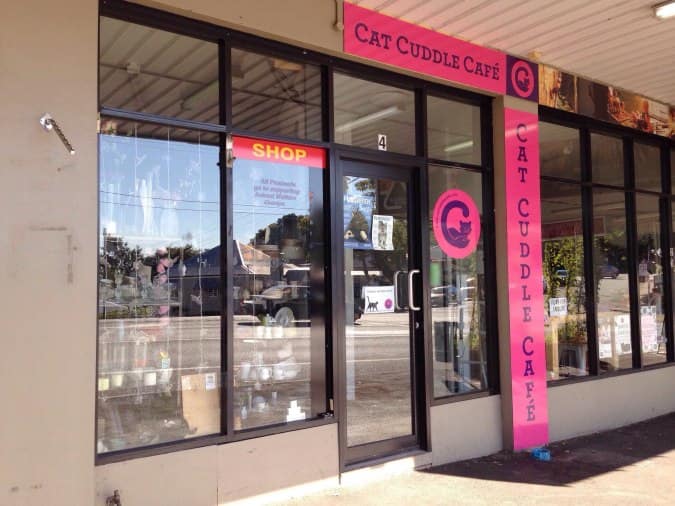 Cat Cuddle Cafe  Red Hill Brisbane Urbanspoon Zomato