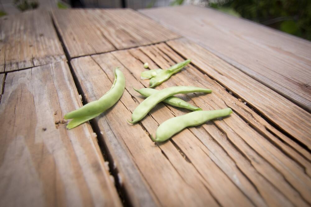 Wilder Wood Restaurant and Bar, East Cesar Chavez, Austin Zomato