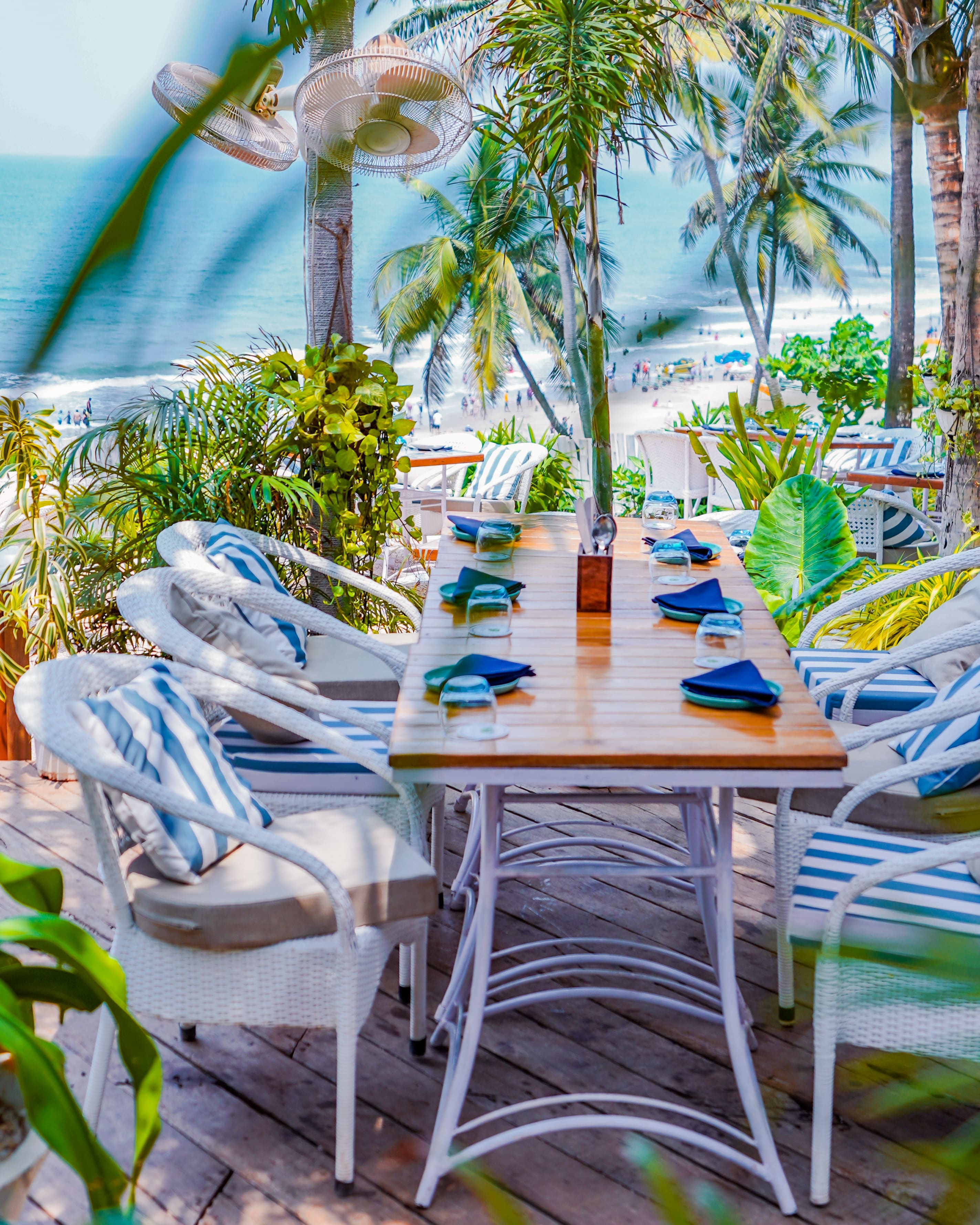 Olive Bar & Kitchen, Vagator, Goa | Zomato