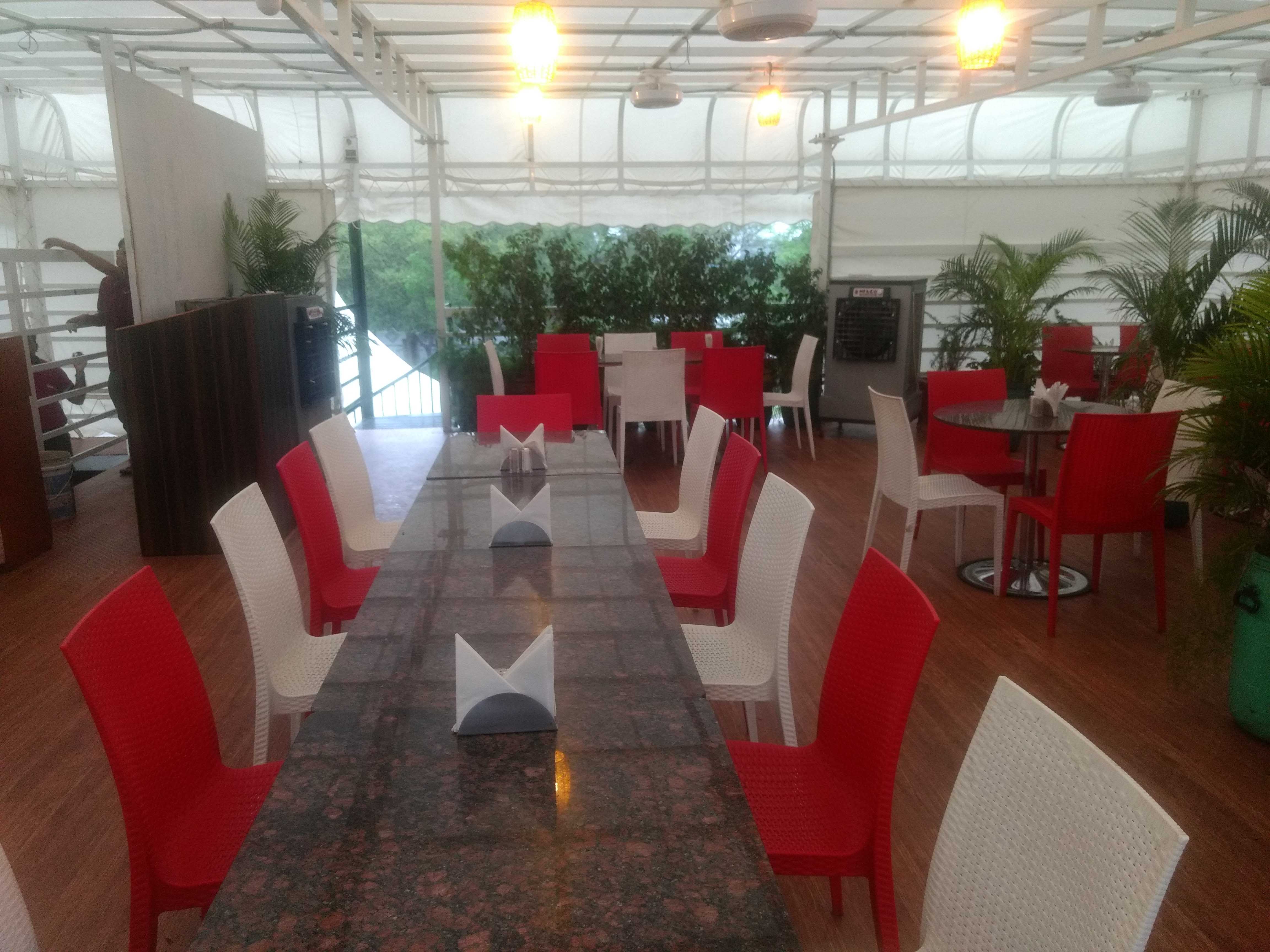 Musk Saffron Cafe & Restaurant, Vijay Nagar, Indore Zomato