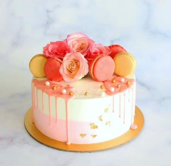 Seva Bakery, Bharatpur Locality order online Zomato