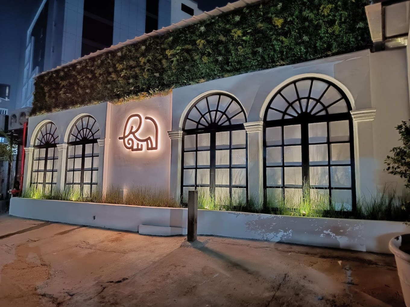 The Pink Elephant, Hitech City, Hyderabad Zomato