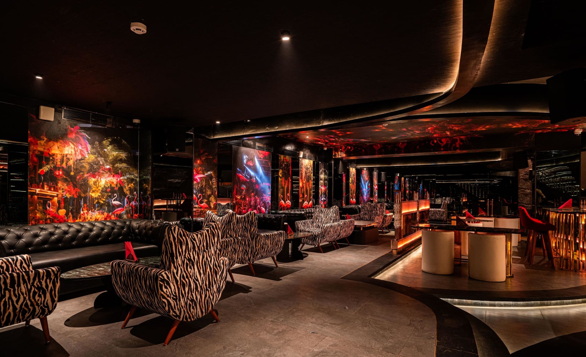 night clubs, dance bars, party clubs - Shiloh Bar And Experience - img1