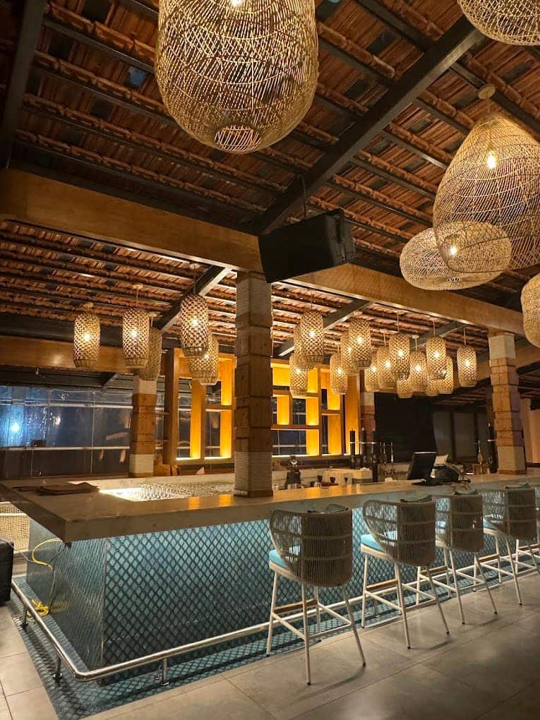 pet friendly places, pet friendly cafes, pet friendly dining, dog friendly restaurants, dog friendly cafes - Gypsea Beach Club - img3