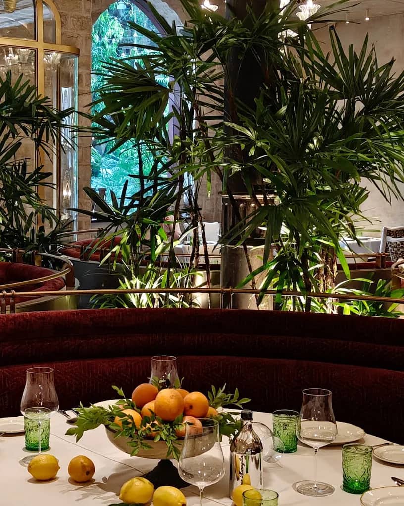new restaurants, newly opened restaurants, new restaurant openings, recently opened restaurants, latest restaurants, new dining spots, new cafes, new eateries, newly launched restaurants - Fieno - img3