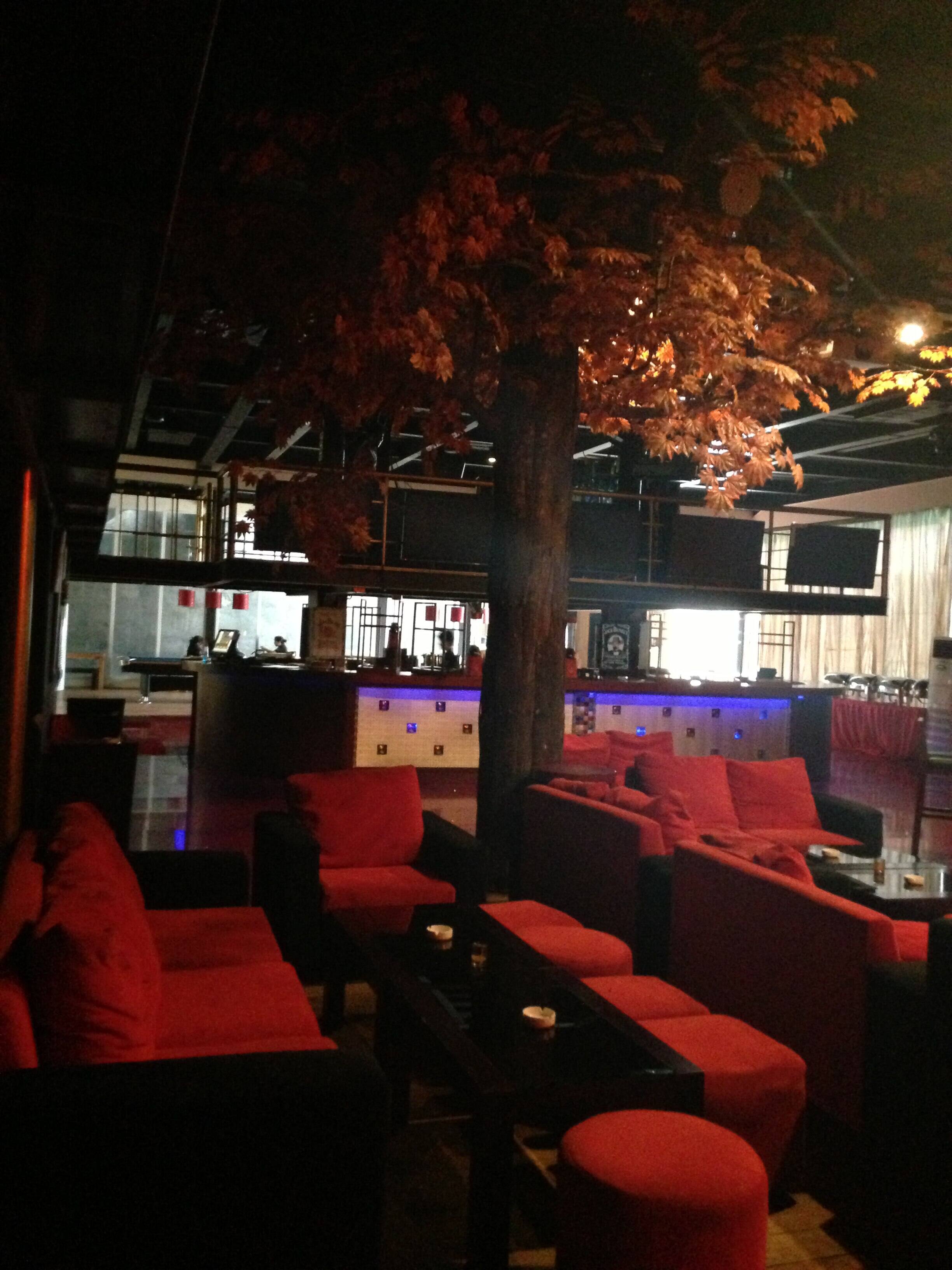 Albero Tebet Jakarta