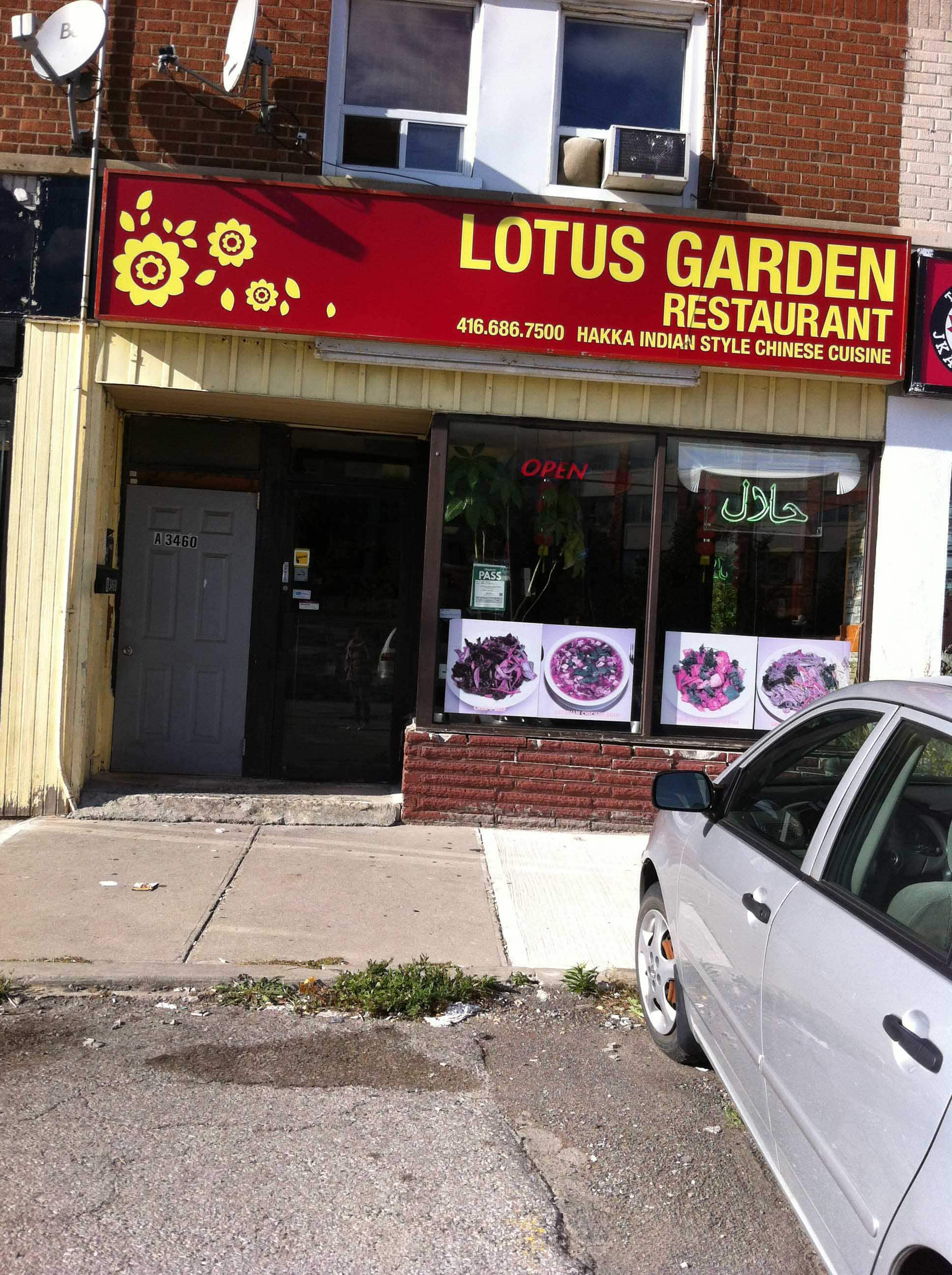 menu-of-lotus-garden-scarborough-toronto