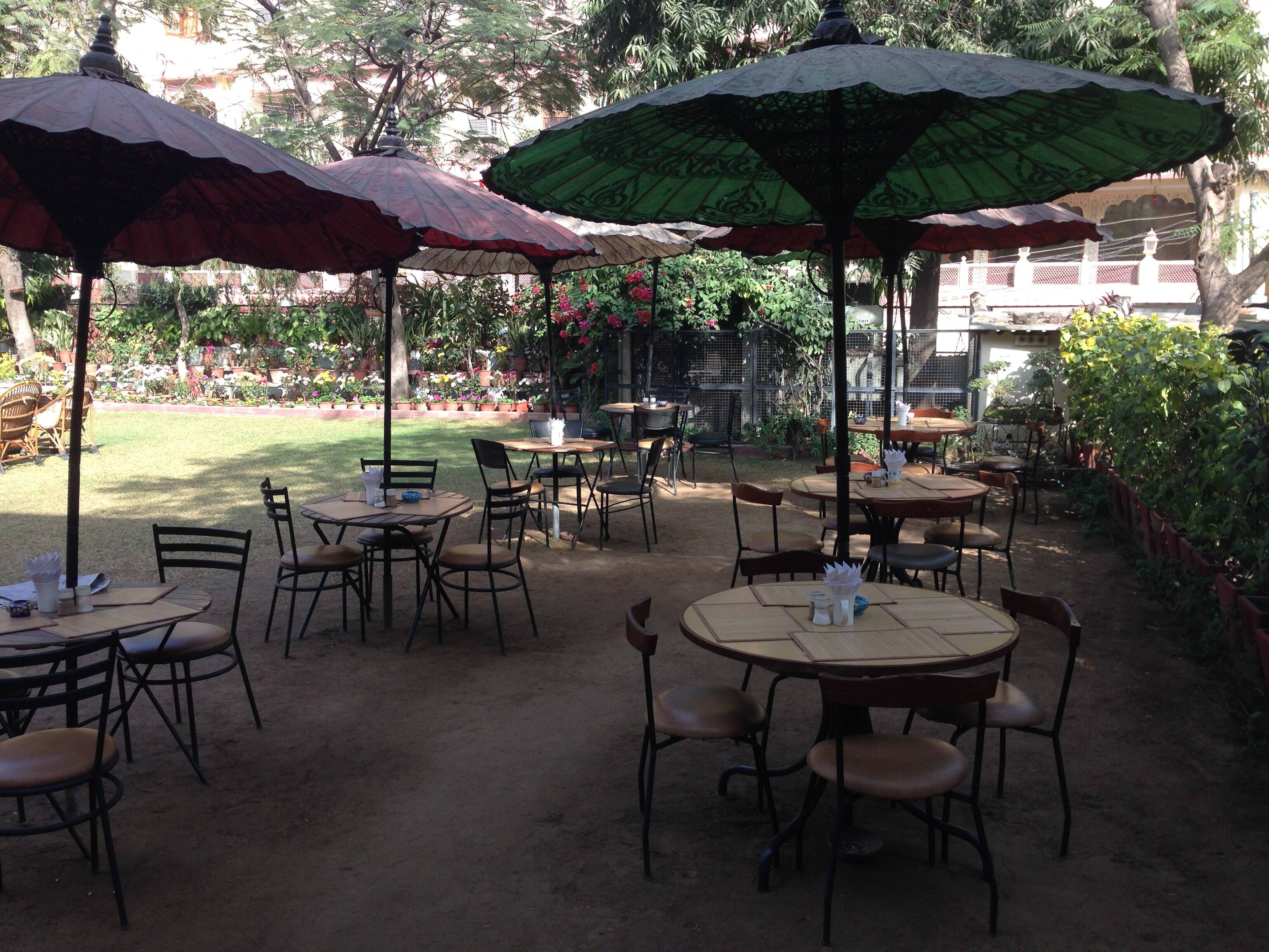 breakfast, breakfast near me, poha, kachori, chai - Hotel Arya Niwas - img3