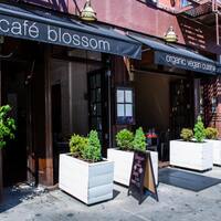 Cafe Blossom West Village Menu Cafe Blossom West Village Menu