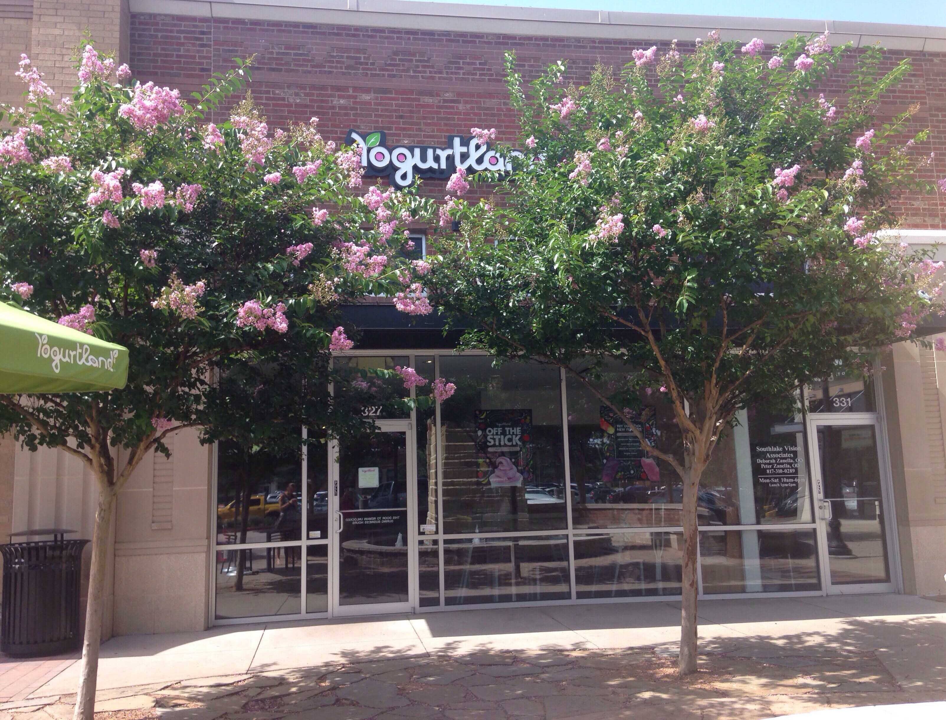 Yogurtland Menu, Menu for Yogurtland, Southlake, Southlake