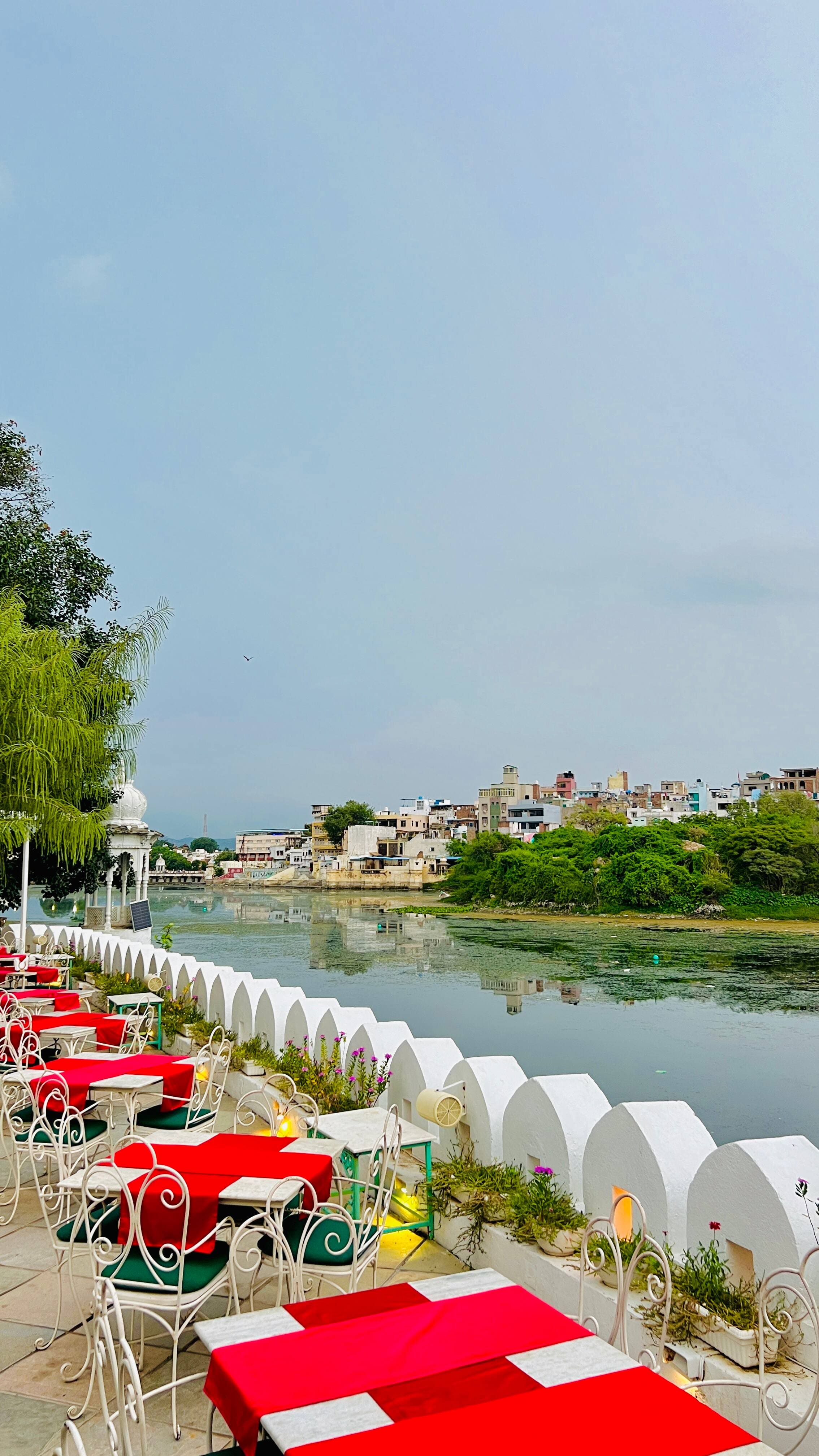 Tribute, Pichola, Udaipur | Zomato