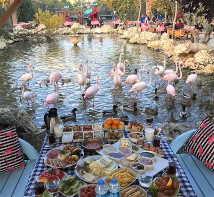 flamingo travel istanbul