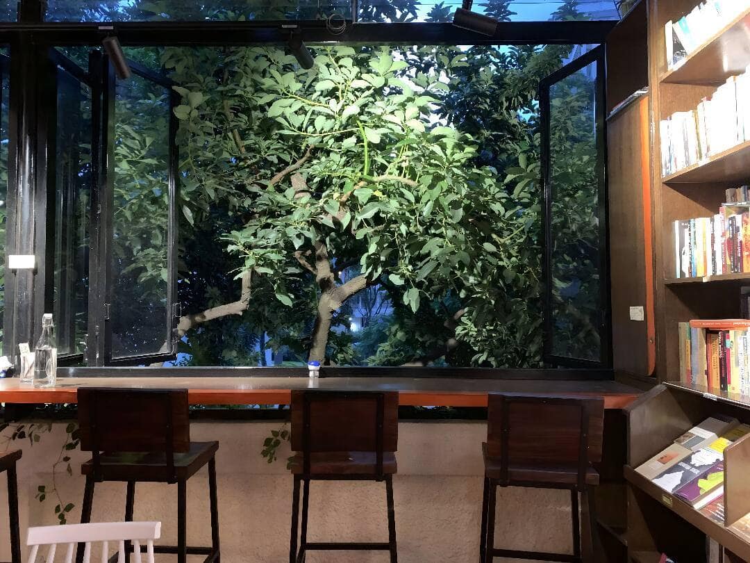 book cafes, book cafe, reading cafes, literary cafes, library cafes, quiet cafes, study cafes, coffee shops, reading spaces, cafes for readers - Champaca - img3
