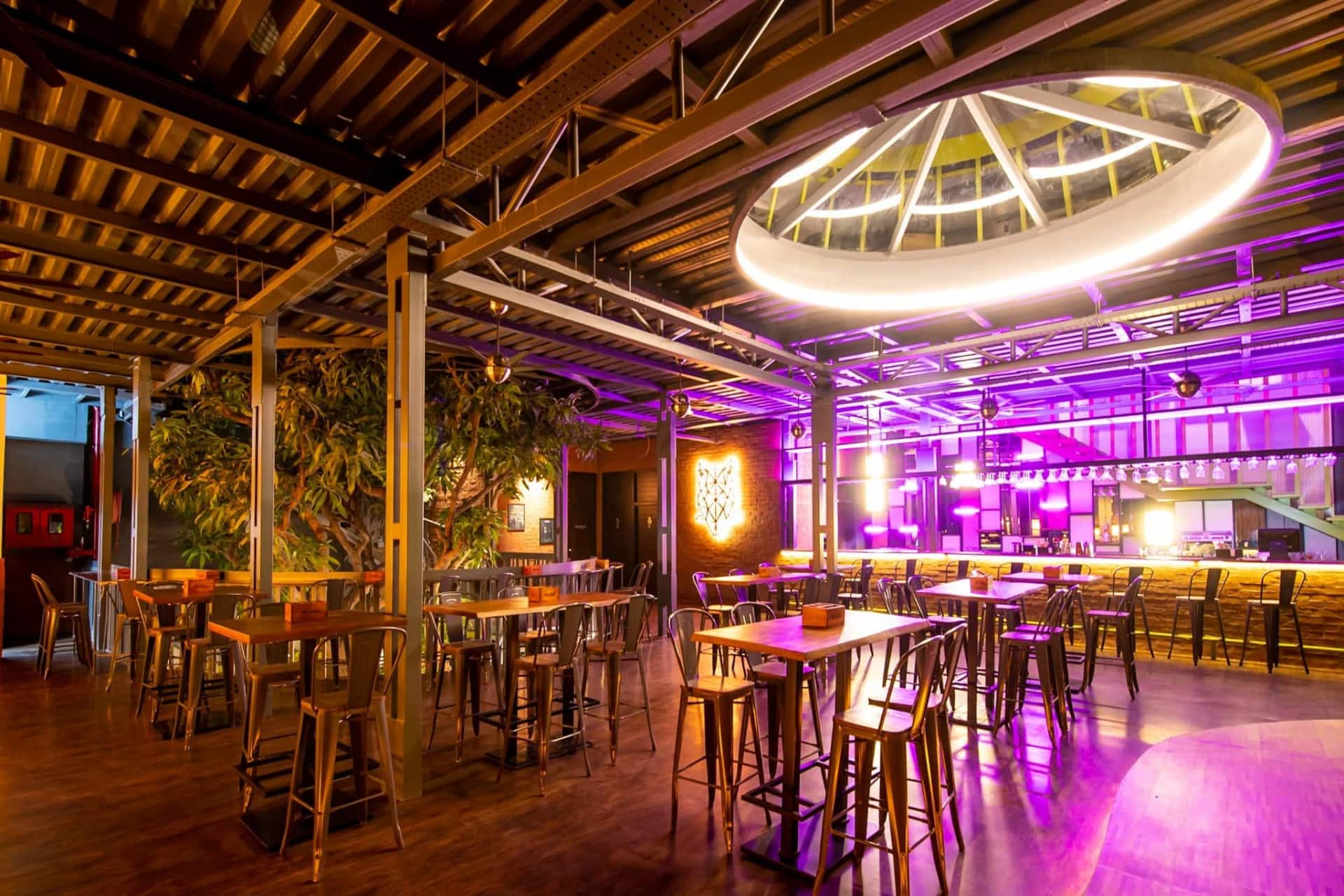 beer, beer bars, pubs, breweries, craft beer - Fat Owl - img2