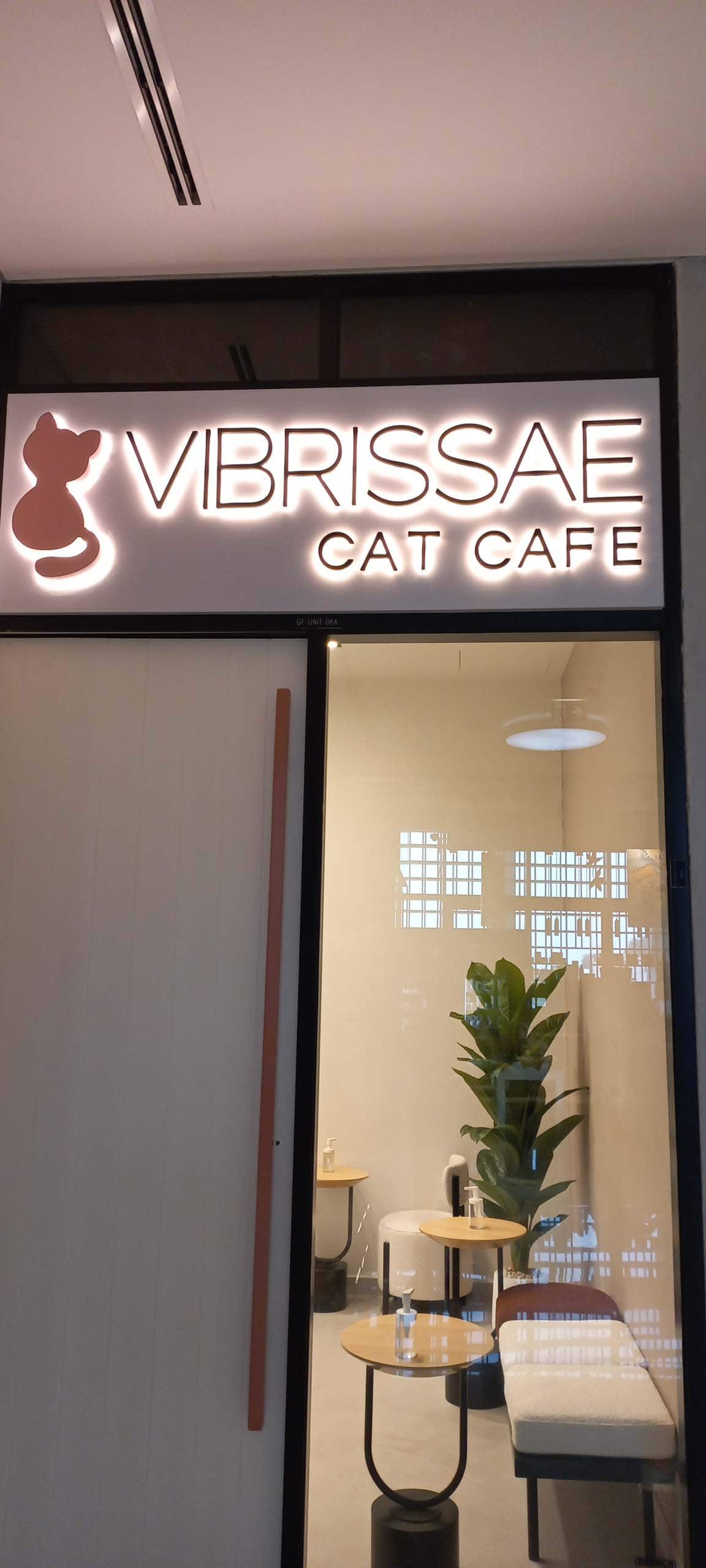 Photos of Vibrissae Cat Cafe, Pictures of Vibrissae Cat Cafe, Dubai Zomato