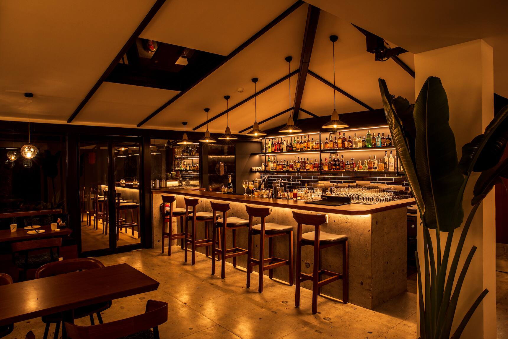Izumi Assagao, Assagao, Goa | Zomato