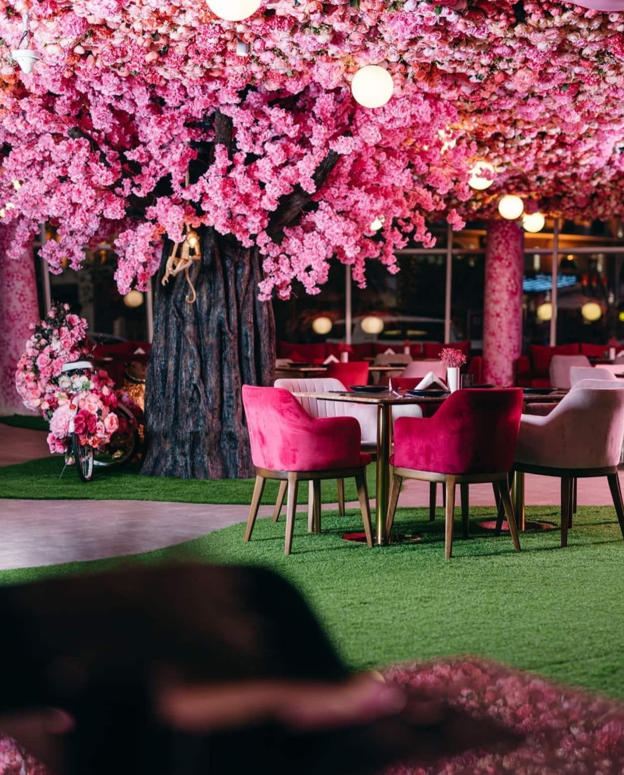 Restaurant image