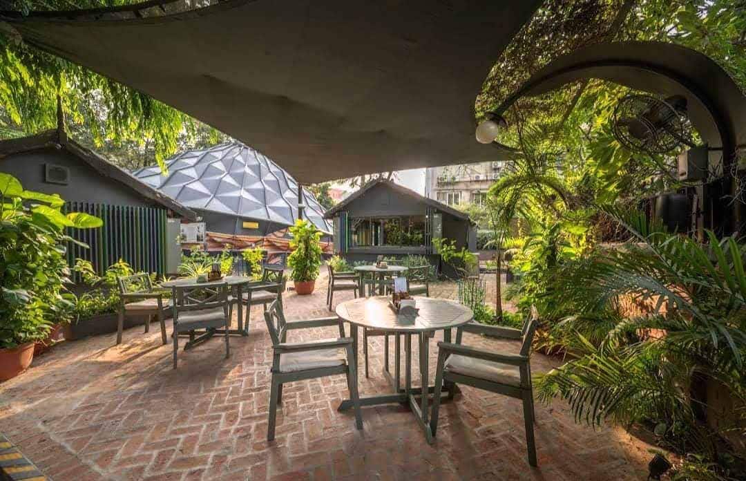 Darwin Bucky Cafe, C G Road, Ahmedabad Zomato