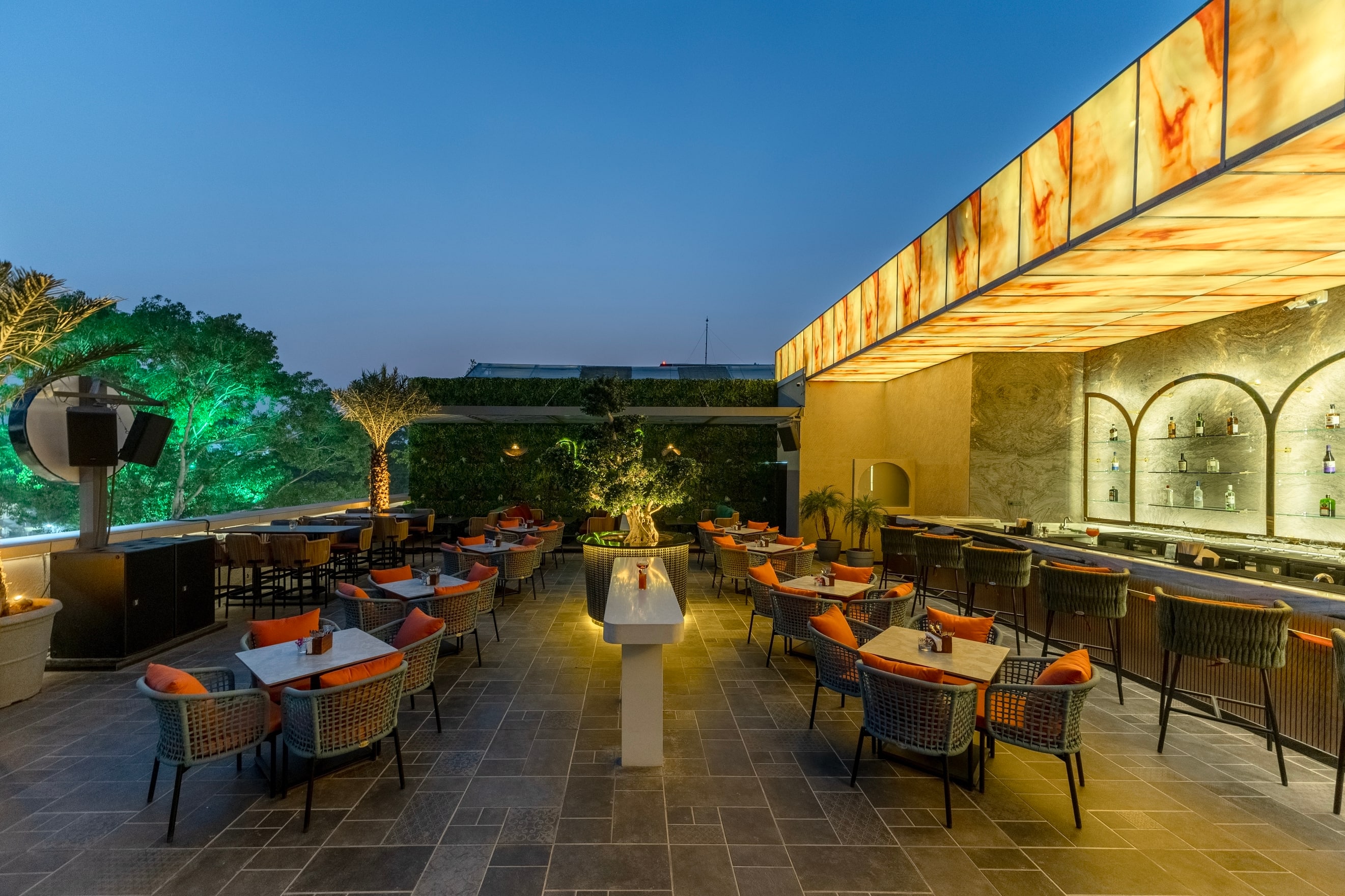 Acai Dhole Patil Road Pune Zomato acai-dhole-patil-road-pune-zomato