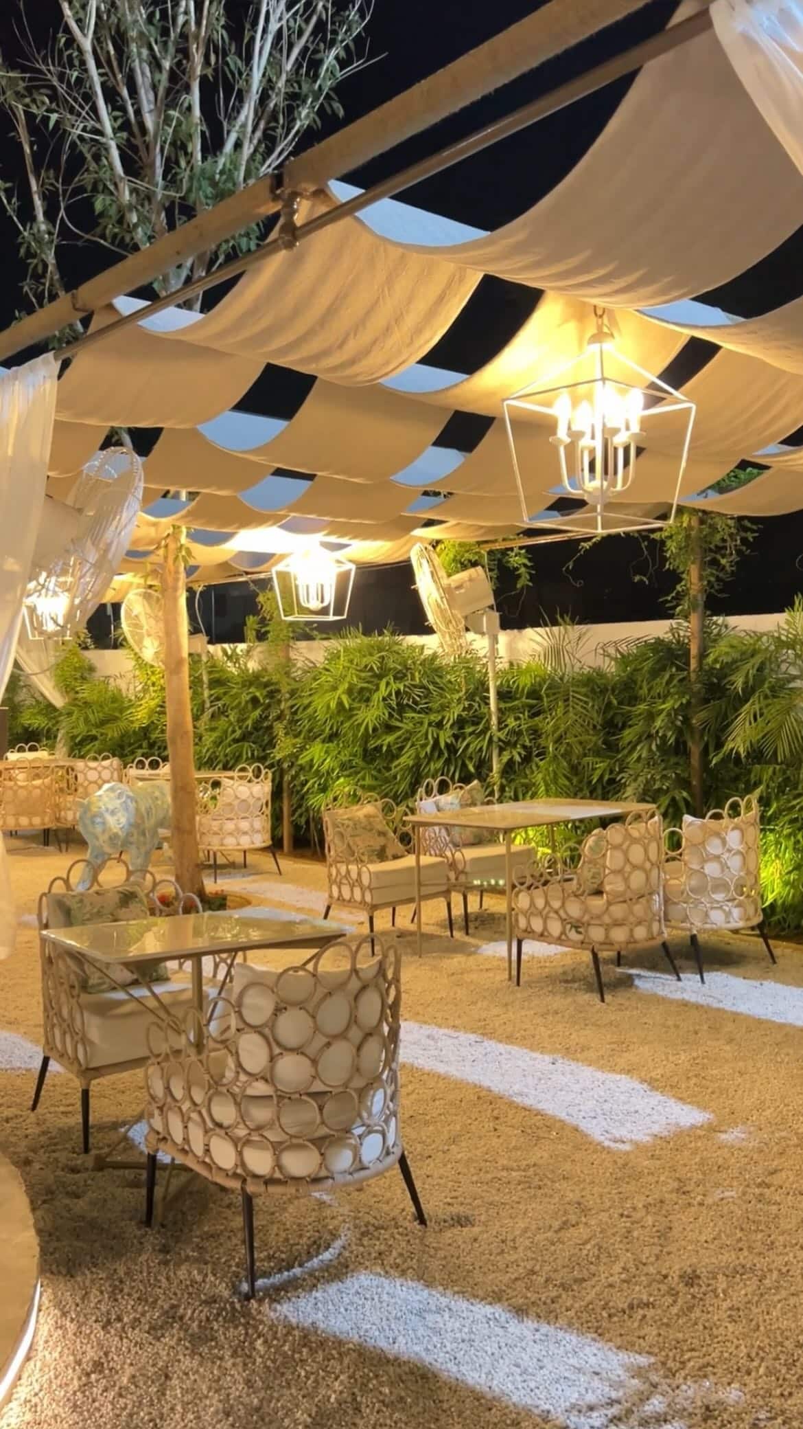 pet friendly places, pet friendly cafes, pet friendly dining, dog friendly restaurants, dog friendly cafes - The Big Tree Cafe - img4