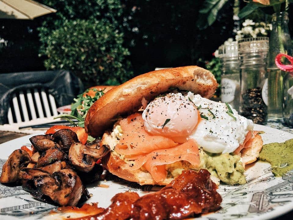 The Backyard Cafe, Diep River, Cape Town Zomato