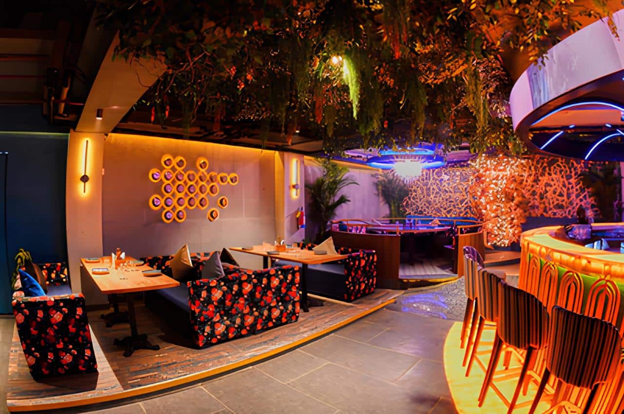 after party, bars near me, night clubs near me, pubs near me, bars open near me - The Knot - img1
